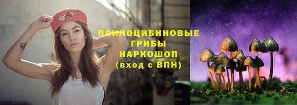 синтетический гашиш Богородск